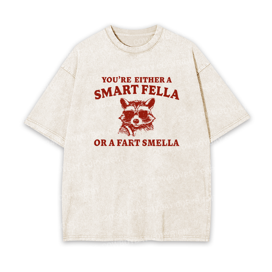 Are You A Smart Fella Or Fart Smella Garment-dye Tees