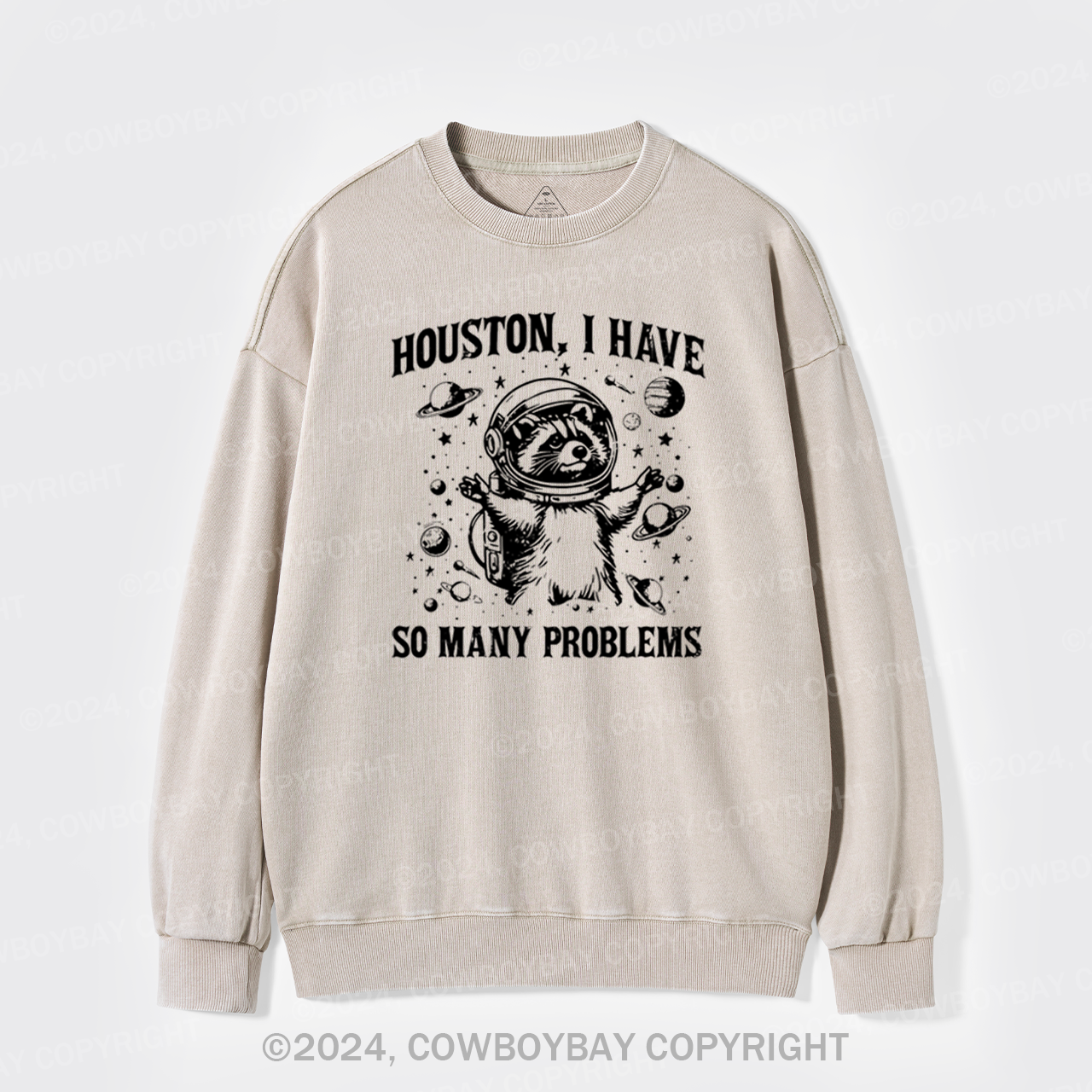 Space Explorer Washed Sweatshirts