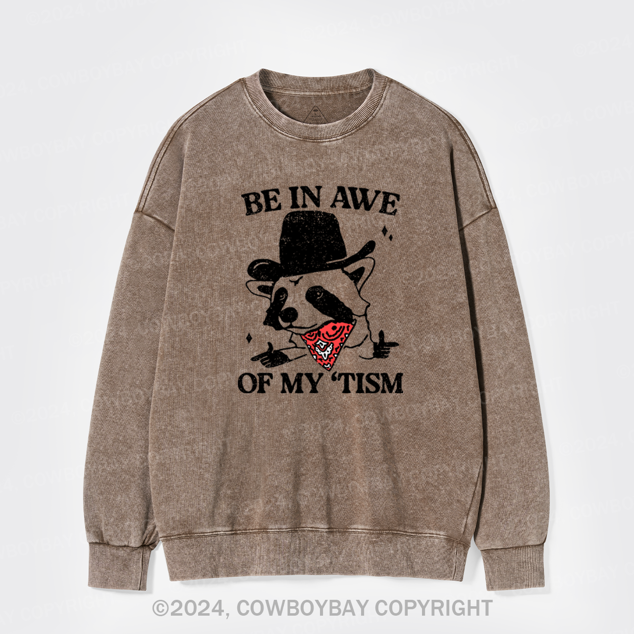 Be In Awe Of My Tism Washed Sweatshirts