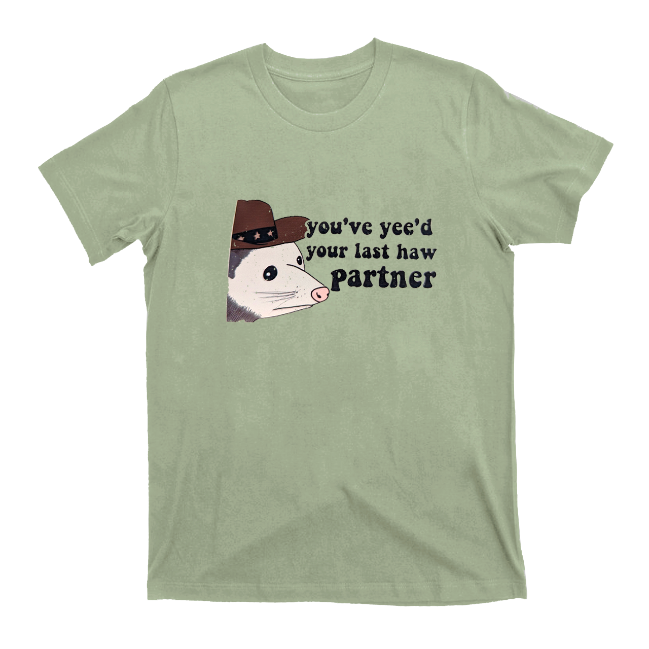 Y'all have yeed your last haw T-Shirts