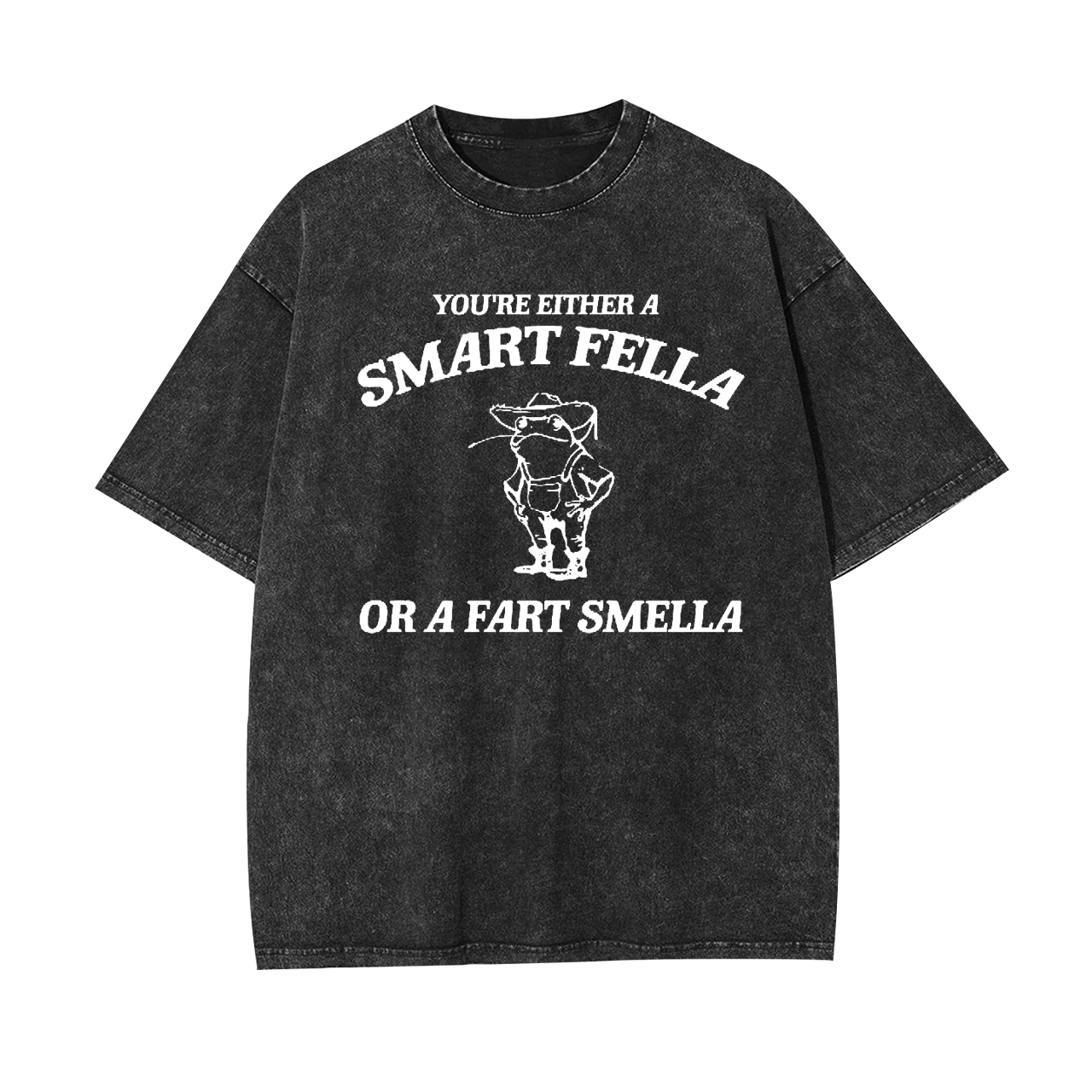 Are You A Smart Fella Or Fart Smella Garment-dye Tees